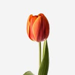 Profile Picture of Jeanine Hill (@Jeanine-Hill) on Facebook