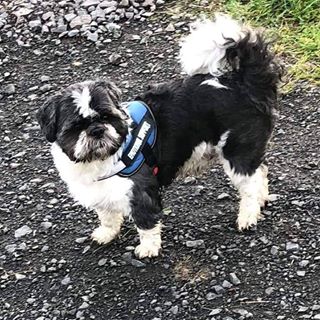 Profile Picture of Keith Philip (@keith.philip.142) on Facebook