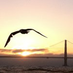 Profile Picture of Jeff Mendelsohn (@ojomojo) on Instagram