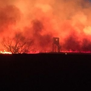 Profile Picture of Cory Crowley (@sidedump450) on Twitter