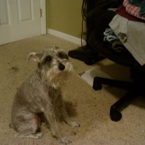 Nicole Cable - Myspace Profile Picture of Nicole Cable (@271831435) on Myspace