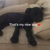 Profile Picture of Jo Birrell (@jo.birrell.56) on Facebook