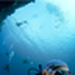 Profile Picture of Singularone (@singularone) on Flickr