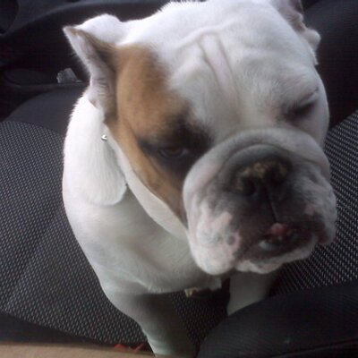 Profile Picture of James DiRosa (@jdirosa) on Twitter