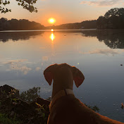 Profile Picture of David Kuhl (@davidkuhl8483) on Youtube