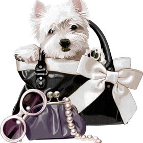 Profile Picture of Chris Oxley (@printntees) on Pinterest