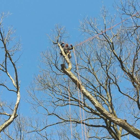 Profile Picture of Justin Zarnick (@justinzarnick) on Poshmark