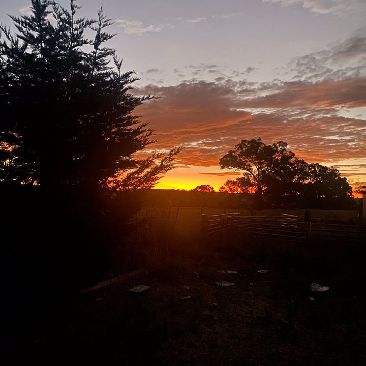 Profile Picture of Patrick Nunan (@nunebugg) on Tiktok