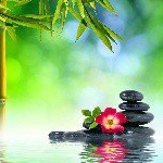 Profile Picture of Michelle Schneider (@schneider.michelle) on Instagram