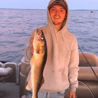 Profile Picture of Matthew Collin (@matthew.collin.3) on Facebook