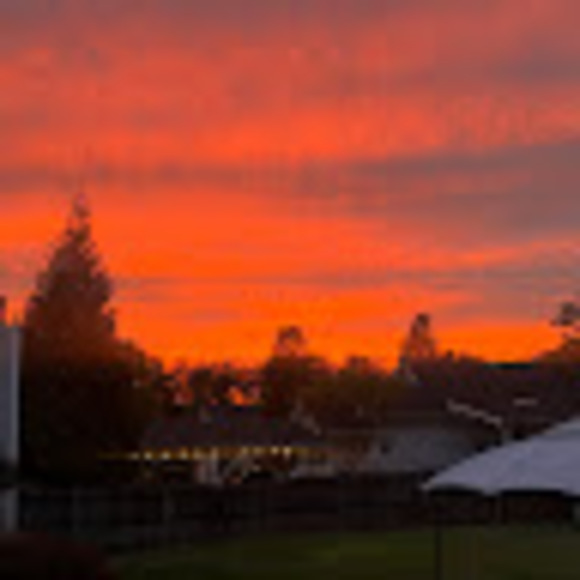 Profile Picture of Zoey Mccorquodale (@z_mccorquodale) on Poshmark