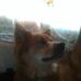 Profile Picture of Gordon Beals (@Gordon-Beals) on Facebook