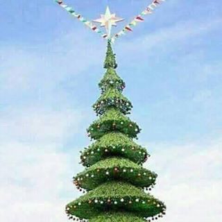 Profile Picture of Sabina Joseph (@sabina.joseph.376) on Facebook