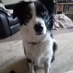 Profile Picture of nancyrodger2 (@nancyrodger2) on Tiktok