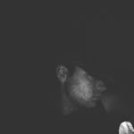 Profile Picture of coldking (@michael_boehm_ll_) on Instagram