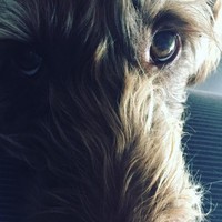 Profile Picture of Nancy Kemp (@nancy-kemp-10) on Quora