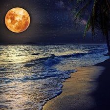 Profile Picture of Karem Aaaa (@AwamyKazem) on Twitter