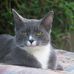Profile Picture of Kathy Ruotsala (@kathy.ruotsala) on Facebook
