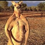 Profile Picture of Kevin Racine (@kevin_roo_racine) on Instagram