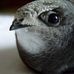 Profile Picture of Martin Swift (@martin.swift.94617) on Facebook