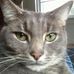 Profile Picture of Craig Mayes (@craig.mayes.18) on Facebook