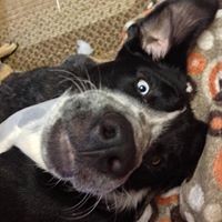 Profile Picture of Dawn Uzzle (@dawn-uzzle) on Quora