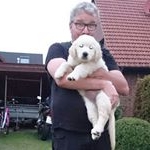 Profile Picture of Christian Üffes-Pirschelbär (@till.narrenspiegel) on Instagram