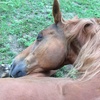 Profile Picture of Adam Neal (@@2157358654) on Tiktok