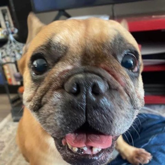 Profile Picture of Gary Gustafson (@matcogfs) on Poshmark