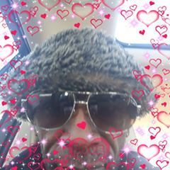 Profile Picture of Barry Collins (@@barrycollins79) on Tiktok