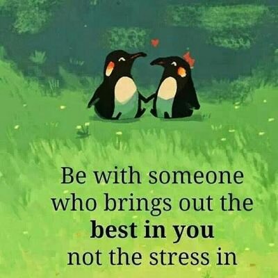 Profile Picture of Ann Wille (@WilleAw) on Twitter