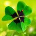 Profile Picture of Karin Kolz (@karin.kolz.3) on Facebook