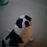 Profile Picture of Murphy Jenkins Morey (@murphyjenkinsmorey) on Instagram