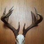 Profile Picture of Andrew Reagle (@andrewreagle) on Instagram