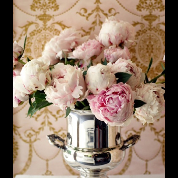 Profile Picture of Sharon Boustead (@sharbou) on Poshmark