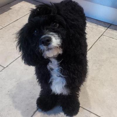 Profile Picture of Chris Reece (@CHRISREECE2012) on Twitter