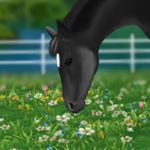 Profile Picture of ᴷᴵᴹ ᴹᴱᴵᴱᴿ (@kimberlie.equest) on Instagram