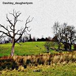 Profile Picture of Ashley Daugherty (@ashley_daughertyvm) on Instagram