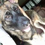 Profile Picture of Thomas Roesener (@Thomas-Roesener) on Facebook