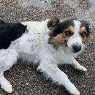 Profile Picture of Paolo Persichetti (@Paolo-Persichetti) on Facebook