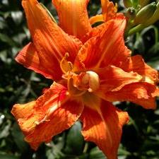 Profile Picture of Sherrie Cochran (@Slcochran87S) on Twitter