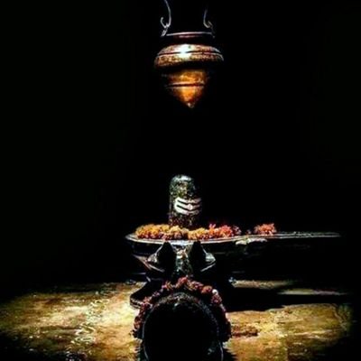 Profile Picture of Sher Rajpoot (@JAY_S_Rajpoot) on Twitter