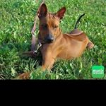 Profile Picture of jimmy_snyderu (@jimmy_snyderu) on Instagram