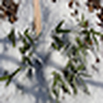 Profile Picture of Steve Lau (@lau1922) on Flickr