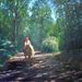 Profile Picture of Françoise André (@fseandre) on Pinterest