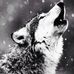 Profile Picture of Paul Ludden (@paul.ludden.984) on Facebook