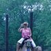 Profile Picture of Nancy Doucette-Francoeur (@ndfrancoeur) on Pinterest