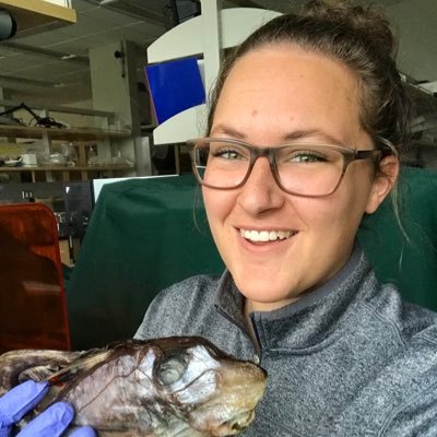 Profile Picture of Amanda Herbert (@A_M_Herbert) on Twitter