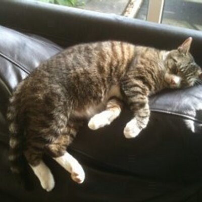 Profile Picture of Chris Crockett (@chriscrockett22) on Twitter