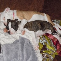 Ann Doggette - Quora Profile Picture of Ann Doggette (@ann-doggette) on Quora